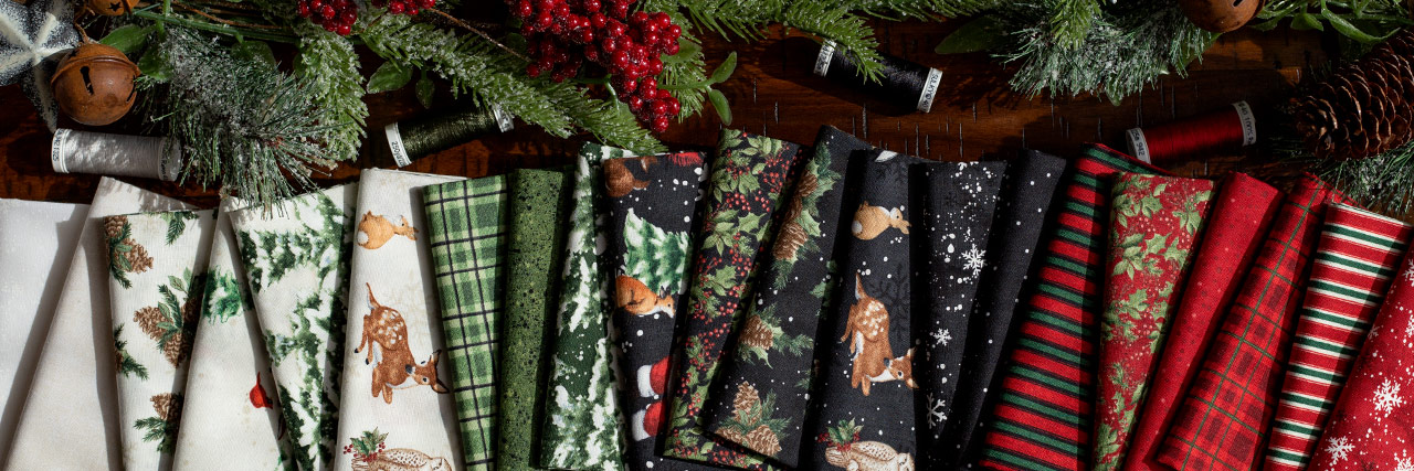 header image for Winter Forest